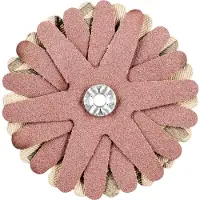 PFERD TOOLS 42732108 Schuurster Diameter 70 mm 10 stuk(s)