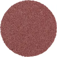 PFERD TOOLS CD 20 A 320 42750232 Schuurblad Korrelgrootte (num) 320 (Ø) 20 mm 100 stuk(s)