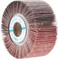 PFERD TOOLS 44712061 Waaier Diameter 100 mm 2 stuk(s)