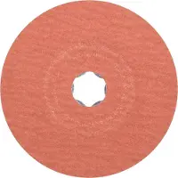 PFERD TOOLS 64191008 Schuurschijf Diameter 115 mm