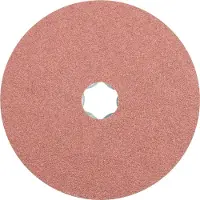 PFERD TOOLS 64190105 Schuurschijf Diameter 125 mm