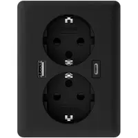 USB 2U-449719 Inbouwdoos Met -C, Met -laaduitgang Zwart (mat)