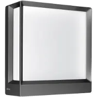 Steinel Wandlamp buiten L 40 C Bluetooth, zwart, Aluminium, Wandlamp buiten