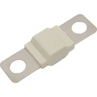 TRU COMPONENTS TC-13545892 Zekering 80 A 80 V/DC Inhoud 10 stuk(s) Bulk