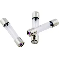Eska 528.030 528030 Buiszekering (Ø x l) 5 mm x 25 mm 16 A 250 V Normaal -mT- Inhoud 10 stuk(s)