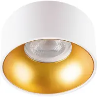 Kanlux S.A. 27576 Riti Plafondlamp GU10, Par 16 Goud (mat), Wit (mat)