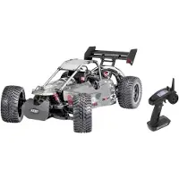 Reely Carbon Fighter III Limited-Edition 1:6 RC auto Benzine Buggy Achterwielaandrijving RTR 2,4 GHz Gelimiteerd