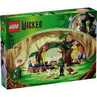 LEGO Wicked 75687