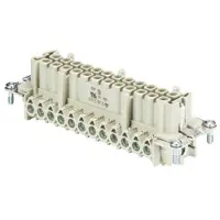 Wieland Electric 70.300.2440.0 Businzetstuk BAS Totaal aantal polen 24 + PE 1 stuk(s)