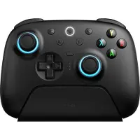 8Bitdo Ultimate 2 2.4G Wireless Controller - Black - PC