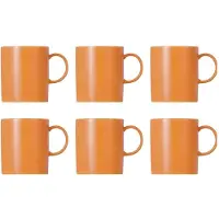 Thomas Sunny Day Orange Beker Met Oor - 0.3 Liter - Oranje
