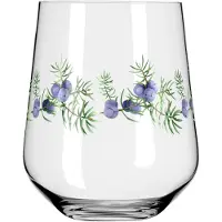 Ritzenhoff Gin & Tonicglas Botanic Lights #5 #6 710 ml (Set van 2)