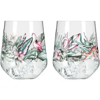 Ritzenhoff Gin & Tonicglas Schattenfauna #5 #6 710 ml (Set van 2)