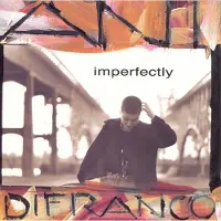 Import Imperfectly