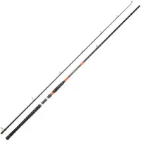 Daiwa Megaforce Big Fish Catfish Rod Zilver 2.60 m / 80-180 g