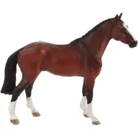 Animal planet Animal Planet: Hollands Warmbloed
