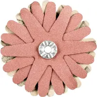 PFERD TOOLS 42732089 Schuurster Diameter 60 mm 10 stuk(s)