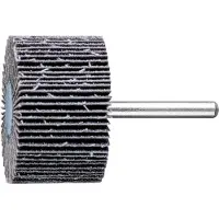 PFERD TOOLS 44450060 Lamellenslijper Diameter 50 mm 10 stuk(s)