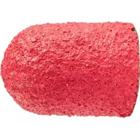 PFERD TOOLS 42302107 Schuurkap Diameter 10 mm 50 stuk(s)