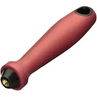 Lessmann Handgreep | lengte 130 mm voor pijpborstel | 1 stuk - 599001 599001