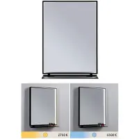 Paulmann Miro LED-lamp voor vochtige ruimte LED 11 W Warmwit Zwart