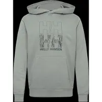 Helly Hansen Core Graphic Hoodie