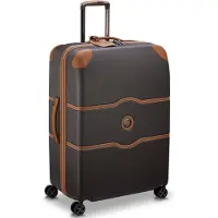 Delsey Trolley bruin
