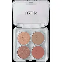 IDUN Minerals Mineral Eyeshadow Palette Oogschaduwpalette 4 g Nyponros