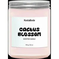 Kosta Boda Mind geurkaars Cactus Blossom, 550 g