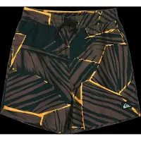 Quiksilver Everyday Printed Volley 14´´ Zwembroek