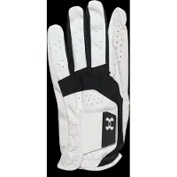 Under Armour Iso Chill Golf Handschoenen Links Her