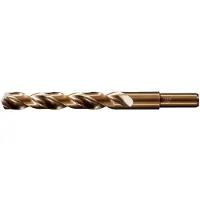 PFERD TOOLS 25203817 SPB DIN 338 HSSE N 16,0 INOX HSSE-Co 5 Spiraalboor 16 mm Gezamenlijke lengte 178 mm DIN 338 1 stuk(s)