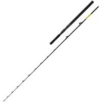 Shimano Fishing Beastmaster Cx Slim boothengel, zilver, 2.29 m / 12-20 lbs, zilver, 2.29 m