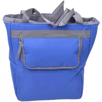 Filmer Koeltas voor bagagedrager, fietstas, 32x14 cm, blauw, met rits