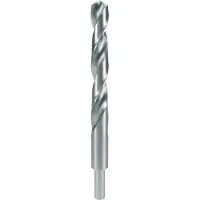 RUKO 2004155 DIN 338 Typ N 338 Typ N HSS-G Spiraalboor 15.5 mm Gezamenlijke lengte 178 mm DIN 338 1 stuk(s)