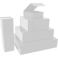Packlinq Magneetdozen 35x25x10cm Wit (25 st.)