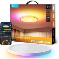 Govee Ceiling Light 12 inch