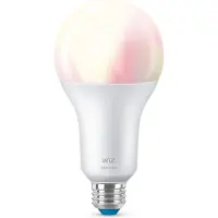 Wiz Slimme Ledlamp E27 18,5w