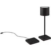 TRIO Oplaadbare tafellamp Fernandez zwart