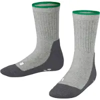 Falke Sokken grijs / antraciet / groen / wit