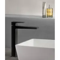 Sapho Dimy wastafelkraan verhoogd zwart mat