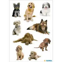 Herma Stickers hondenfoto's - 10 stuks