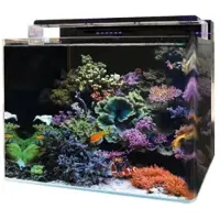 Aquadistri Bm reef 120 aquarium Blue Marine