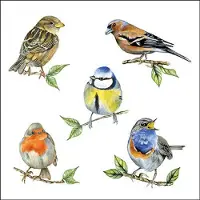 Ambiente Tafel diner servetten - Tuinvogels thema - 20x stuks - 33 x 33 cm - Lente/zomer/vogels