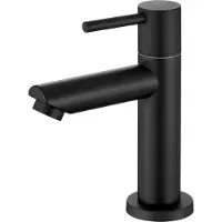 Auralum Max Badkamerkraan Koudwaterkraan - Wastafelkraan koud water - Koudwaterkraan RVS - Waterbesparend Wastafelkraan - Zwart