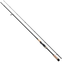 Shimano Fishing Stardic Spinhengel