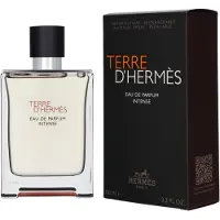 Hermès Paris - Hermes Terre D'Hermes Eau de Parfum Intense 100 ml Heren