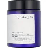 Pyunkang Yul Moisture Cream 100 ml