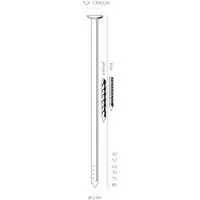 Union Nagel Type DK 2.8x50mm Glad Verzinkt - 2500 stuks