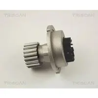 TRISCAN 8600 21004 Waterpomp
